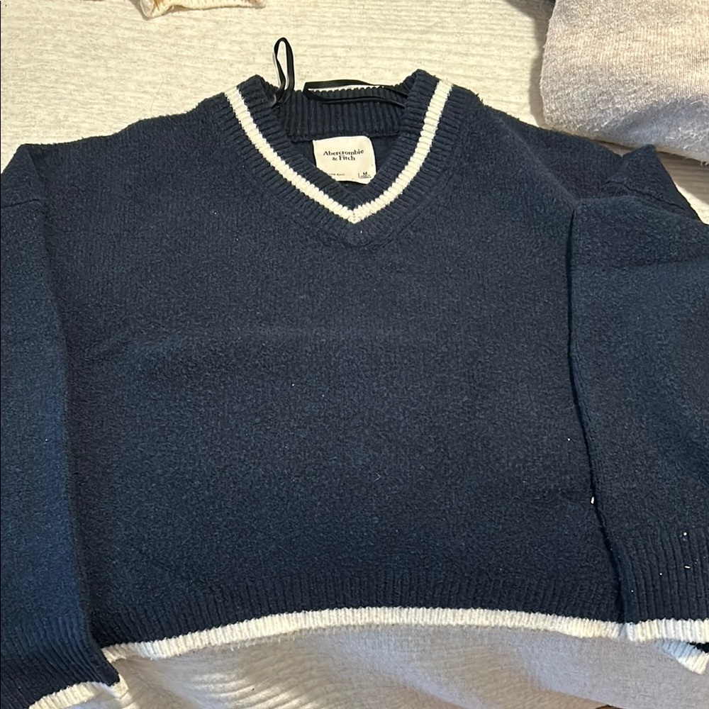 Abercrombie & Fitch Blue and White V-Neck Sweater